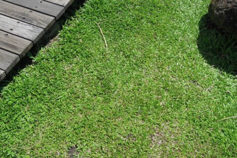 Landscaping Contractors Basingstoke
