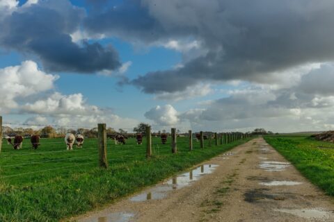 Farm Road Repairs Fareham PO16