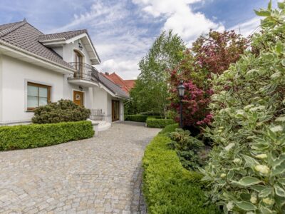 Garden landscaping near me Basingstoke