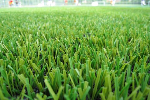 Artificial Grass near me Basingstoke RG21