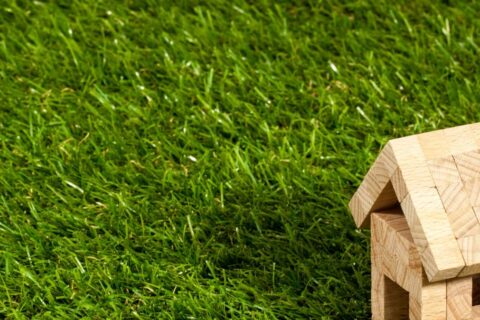 Artificial Grass Basingstoke