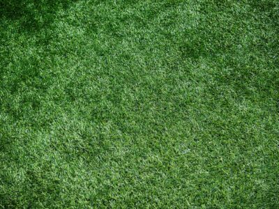 Landscaping near me Basingstoke
