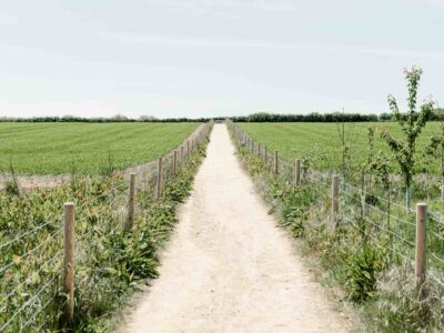 Farm road construction company near me Fareham